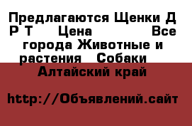 Предлагаются Щенки Д.Р.Т.  › Цена ­ 15 000 - Все города Животные и растения » Собаки   . Алтайский край